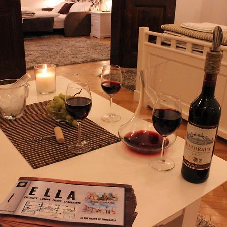 Ella Apartment Timisoara No9 Kültér fotó