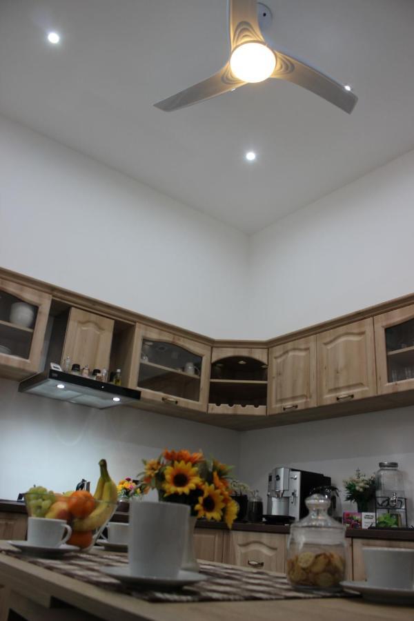 Ella Apartment Timisoara No9 Kültér fotó
