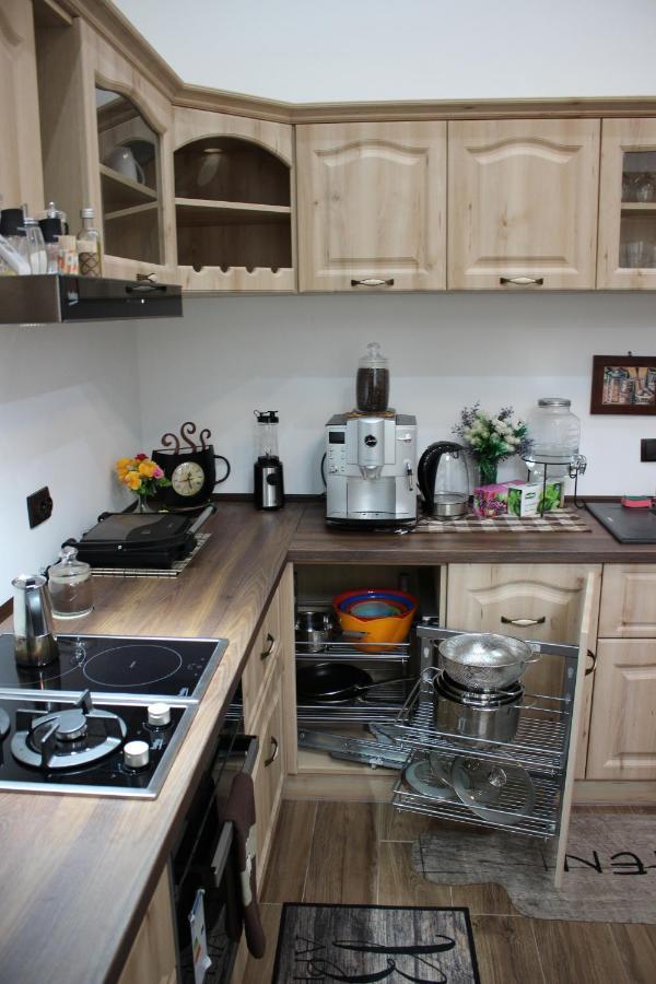 Ella Apartment Timisoara No9 Kültér fotó