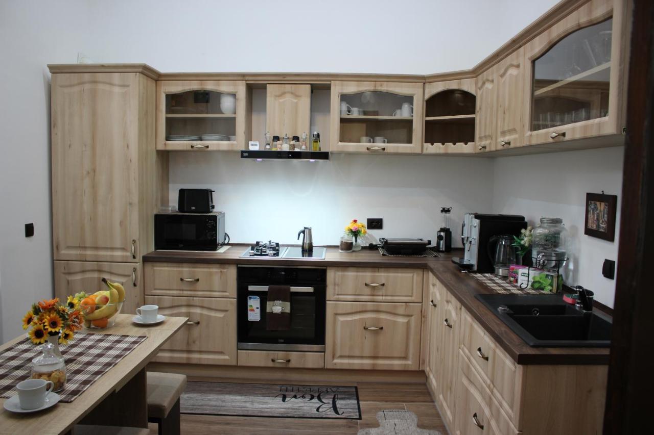 Ella Apartment Timisoara No9 Kültér fotó