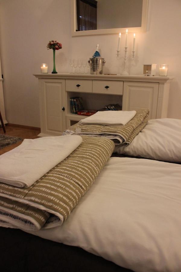 Ella Apartment Timisoara No9 Kültér fotó