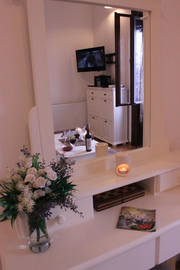 Ella Apartment Timisoara No9 Kültér fotó