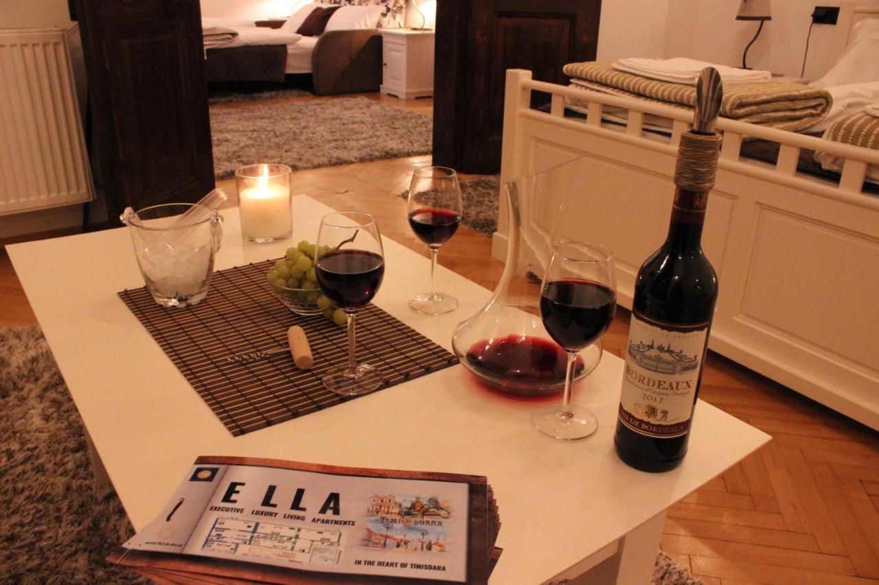 Ella Apartment Timisoara No9 Kültér fotó