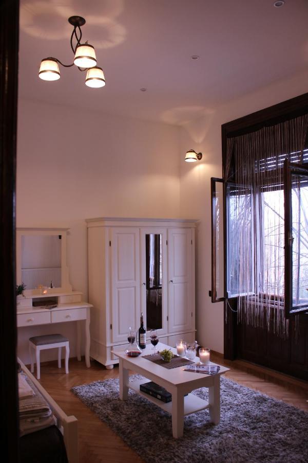 Ella Apartment Timisoara No9 Kültér fotó
