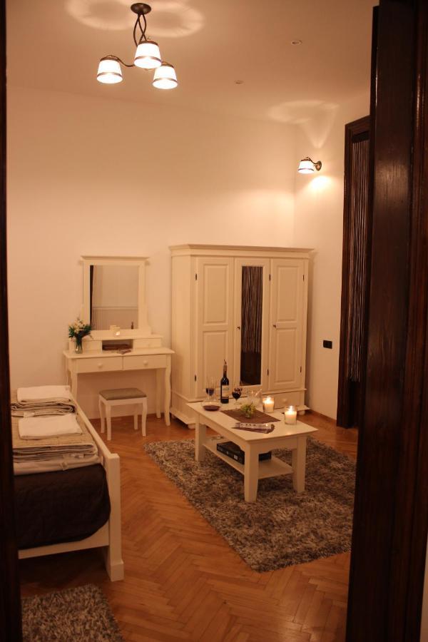 Ella Apartment Timisoara No9 Kültér fotó