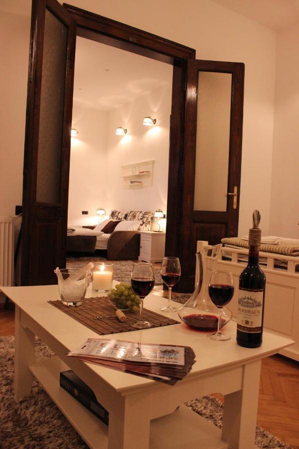 Ella Apartment Timisoara No9 Kültér fotó