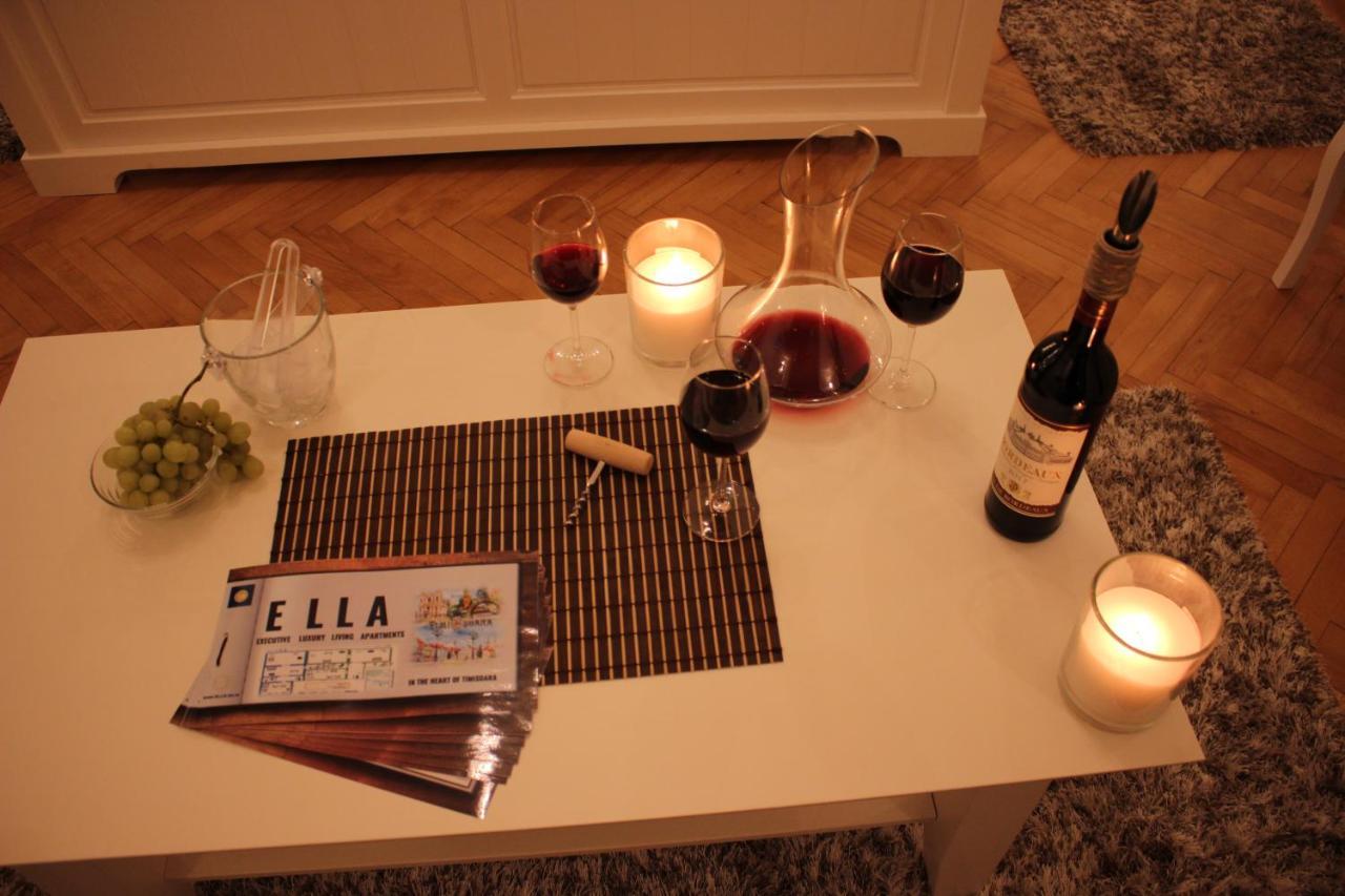 Ella Apartment Timisoara No9 Kültér fotó