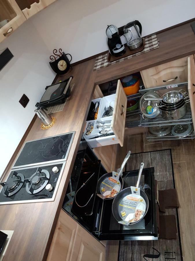 Ella Apartment Timisoara No9 Kültér fotó